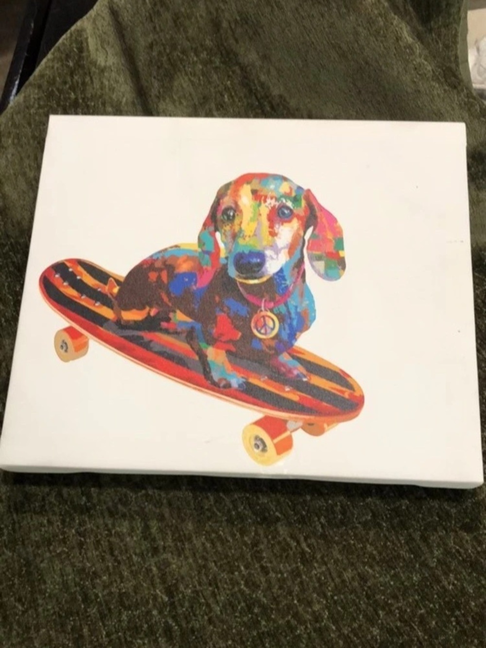 Colorful Dog on Skateboard Wall Art
